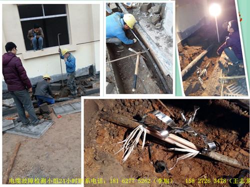 國網羅田供電公司籌劃2016春節(jié)景區(qū)保電任務